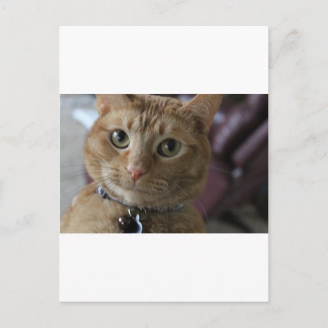 Ethan Postcard (Front)