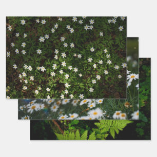 Ethereal Forest Flora, set of 3 art photos Wrapping Paper Sheet