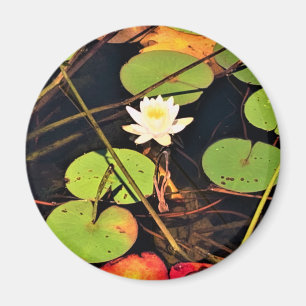 "Ethereal Lily Pad Pond with Central White Blossom Magnet