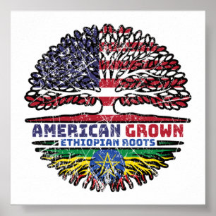 Ethiopia Ethiopian US American USA United States Poster
