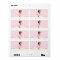 Ethnic Ballerina Tutu Baby Shower Water Bottle