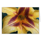 Étincelle rouge jaune