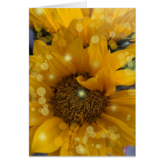Étincelles de tournesol