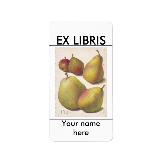 Étiquette 5 poires vintages plaque illustrée (Devant)