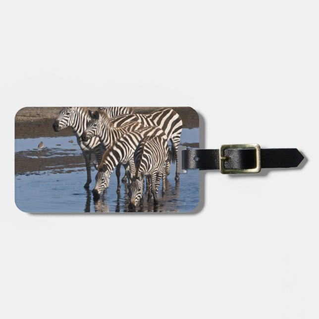 Étiquette À Bagage Afrique. Tanzanie. Zèbres boire à Ndutu (Devant horizontal)