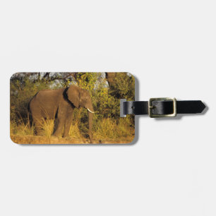 Étiquette À Bagage Afrique, Zimbabwe, Victoria Falls National Park.