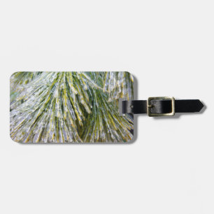 Étiquette À Bagage Aiguilles de pin recouvert de glace Botanique hive