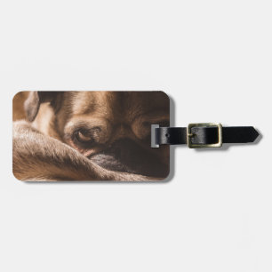 Étiquette À Bagage Ajouter votre propre voyage photo chien carlin d