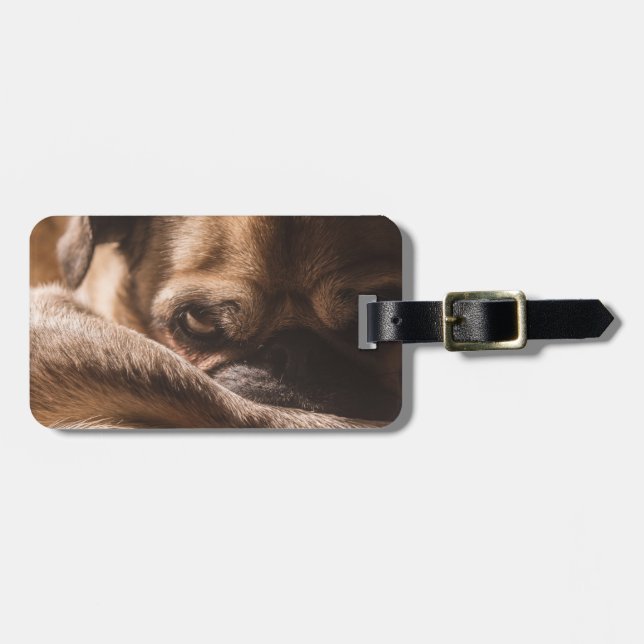 Étiquette À Bagage Ajouter votre propre voyage photo chien | carlin d (Devant horizontal)