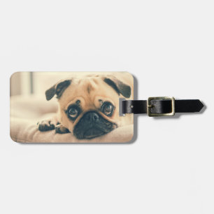 Étiquette À Bagage Ajouter votre propre voyage photo chien carlin d