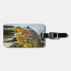 Étiquette À Bagage Alligator. Face à face