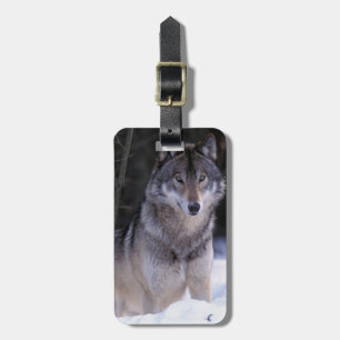 Étiquette À Bagage Amérique du Nord, Canada, Est du Canada, Loup gris