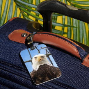 Étiquette À Bagage Amusante American Bald Eagle Face Faune Photo