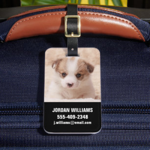 Étiquette À Bagage Animaux de bébés cutest   Baby Corgi