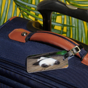 Étiquette À Bagage Animaux de bébés cutest Bébé Géant Panda Dormir