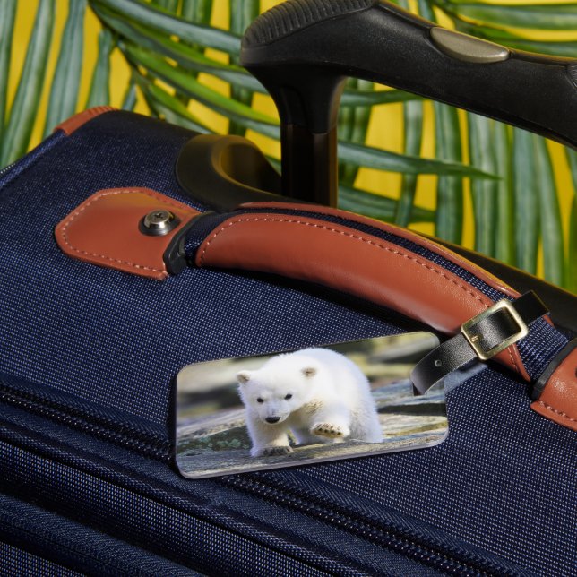 Étiquette À Bagage Animaux de bébés cutest | Bébé Ours polaire (Insitu Rectoal 3)