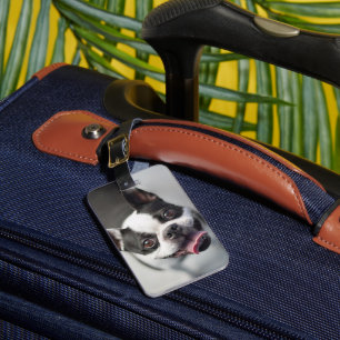 Étiquette À Bagage Animaux de bébés cutest   Boston Bulldog Smile