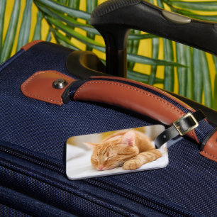 Étiquette À Bagage Animaux de bébés cutest   Chat de gingembre dorman