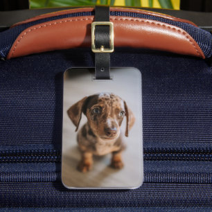 Étiquette À Bagage Animaux de bébés cutest   Chiot Brown