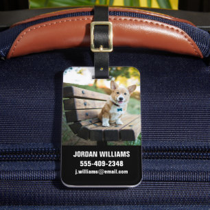 Étiquette À Bagage Animaux de bébés cutest   Corgi Puppy sur un banc 