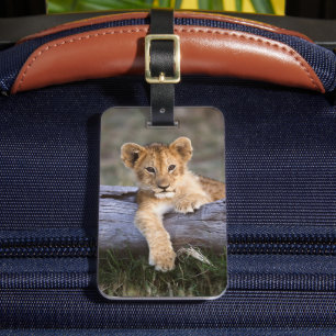 Étiquette À Bagage Animaux de bébés cutest   Cute Lion Cub