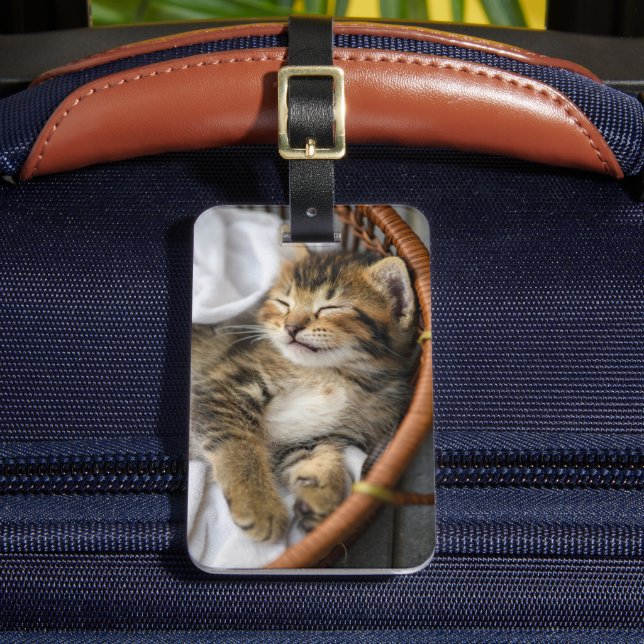 Étiquette À Bagage Animaux de bébés cutest | Cute Tabby Chat Dormir (Insitu Rectoal 2)