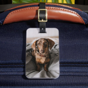 Étiquette À Bagage Animaux de bébés cutest   Dachshund Dachshund Dach