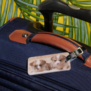 Étiquette À Bagage Animaux de bébés cutest   Deux Marionnettes Corgi