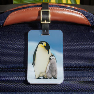 Étiquette À Bagage Animaux de bébés cutest   Empereur Penguin Chick