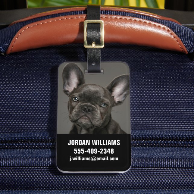 Étiquette À Bagage Animaux de bébés cutest | French Bulldog (Insitu Rectoal 2)