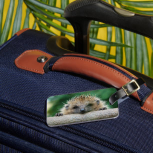 Étiquette À Bagage Animaux de bébés cutest Hedgehog Smile
