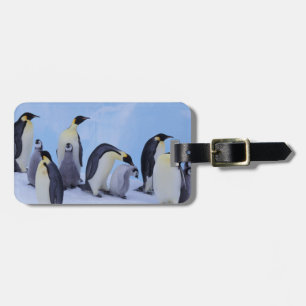 Étiquette À Bagage Antarctique, Emporer Penguins