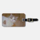 Apollo Turkish Van Luggage Tag