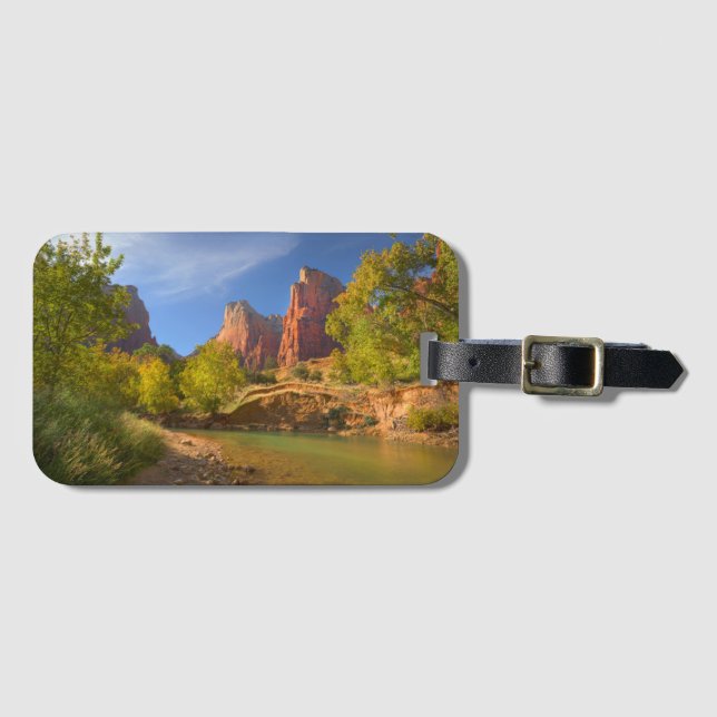 Étiquette À Bagage Après-Midi Dans Le Parc National De Zion (Devant Horizontal)