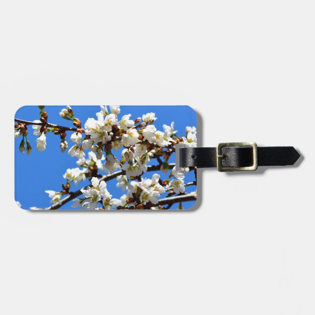 Étiquette À Bagage Arbre de printemps blanc fleuri blanc (Devant horizontal)