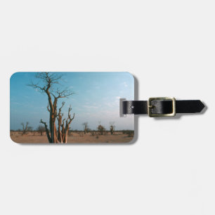 Étiquette À Bagage Arbre Moringo Africain Sur Plaine, Etosha National