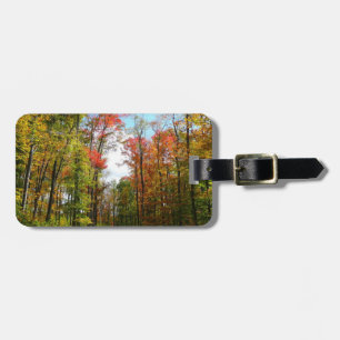 Étiquette À Bagage Arbres d'automne et ciel bleu Photographie de la n