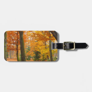 Étiquette À Bagage Arbres et Feuilles d'automne jaunes et rouges