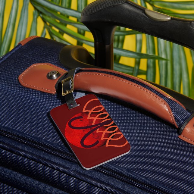 Étiquette À Bagage Aries Luggage Tag (Insitu Rectoal 1)