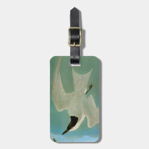 Étiquette À Bagage Audubon : Sterne Mouette-Affichée