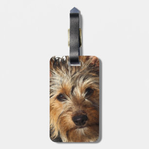 Étiquette À Bagage Australien Silky Terrier