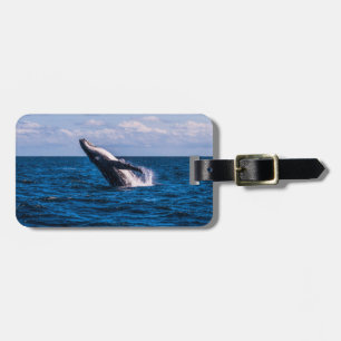 Étiquette À Bagage Baleine de bosse ouvrant une brèche l'étiquette de