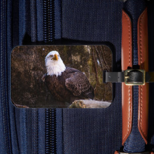 Étiquette À Bagage Balise Bagage d'aigle à tête blanche