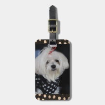 Balise Bagage de chien maltais