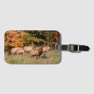 Étiquette À Bagage Balise Bagage d'Elk