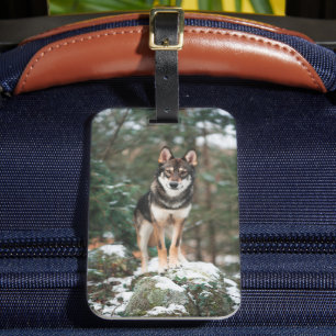 Étiquette À Bagage Balise Bagage Wolfdog