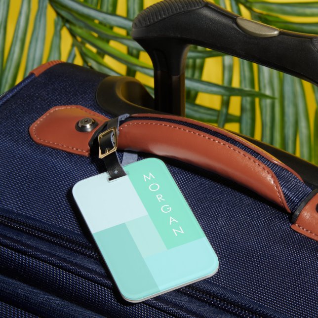Étiquette À Bagage Balise de bagage personnalisée Pastel bleu moderne (Insitu Rectoal 1)