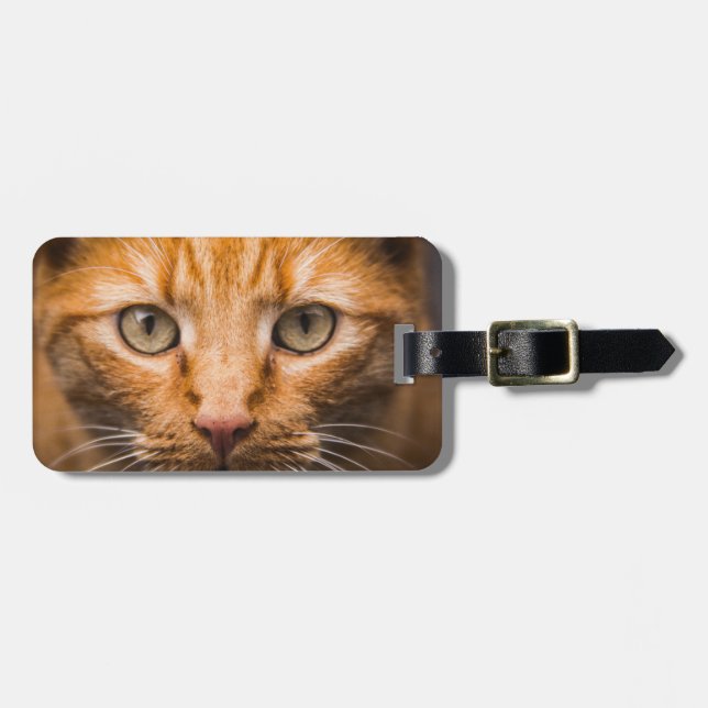 Étiquette À Bagage Balise de bagage personnalisée Staring Cat (Devant horizontal)