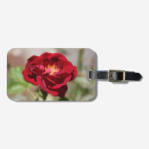 Balise de bagages rouge antique