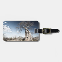 Baobab Tree au Mana Pools National Park, Zimbabwe.